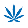 icon cannabis sm
